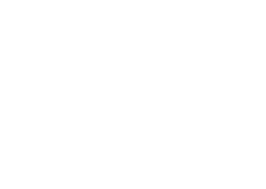 Logo Chiro Ierlinck